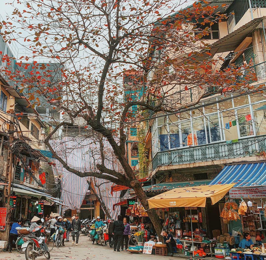 Hà Nội có những con phố ngập tràn lá rơi vàng rực đem tới cảm giác rạo rực rất riêng ở mỗi độ thu về