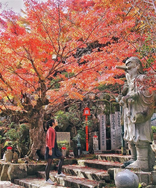 Kinh nghiệm đi du lịch Nhật Bản mùa nào đẹp nhất? - Tìm hiểu về 4 mùa Nhật Bản