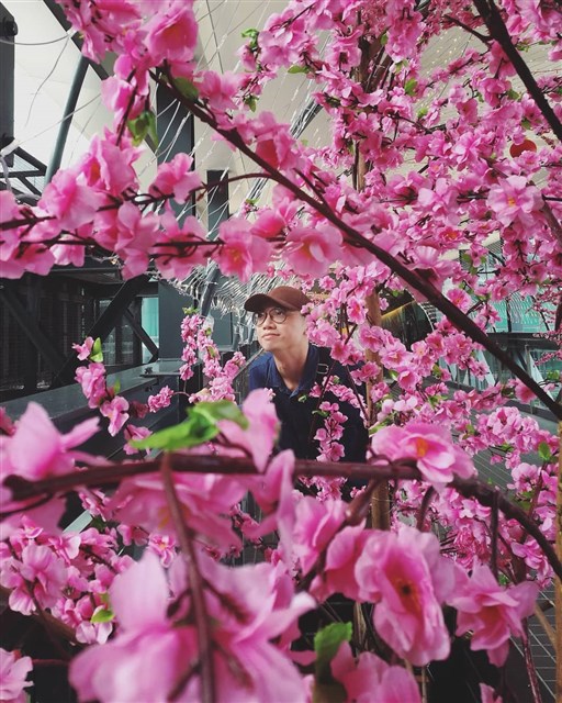 Du lịch Nhật Bản mùa xuân 2019 ngắm hoa anh đào