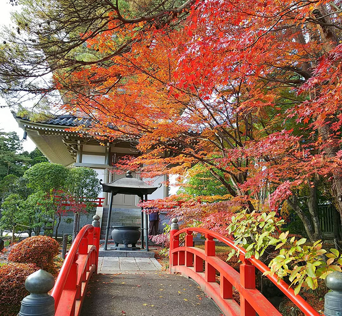 10 điểm du lịch Nhật Bản không thể bỏ qua